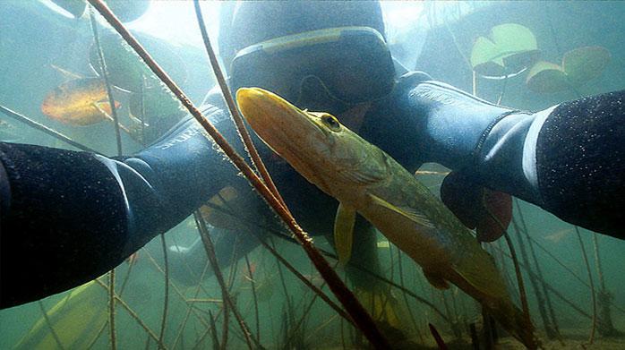 Michel Loup, photographe-randonneur aquatique